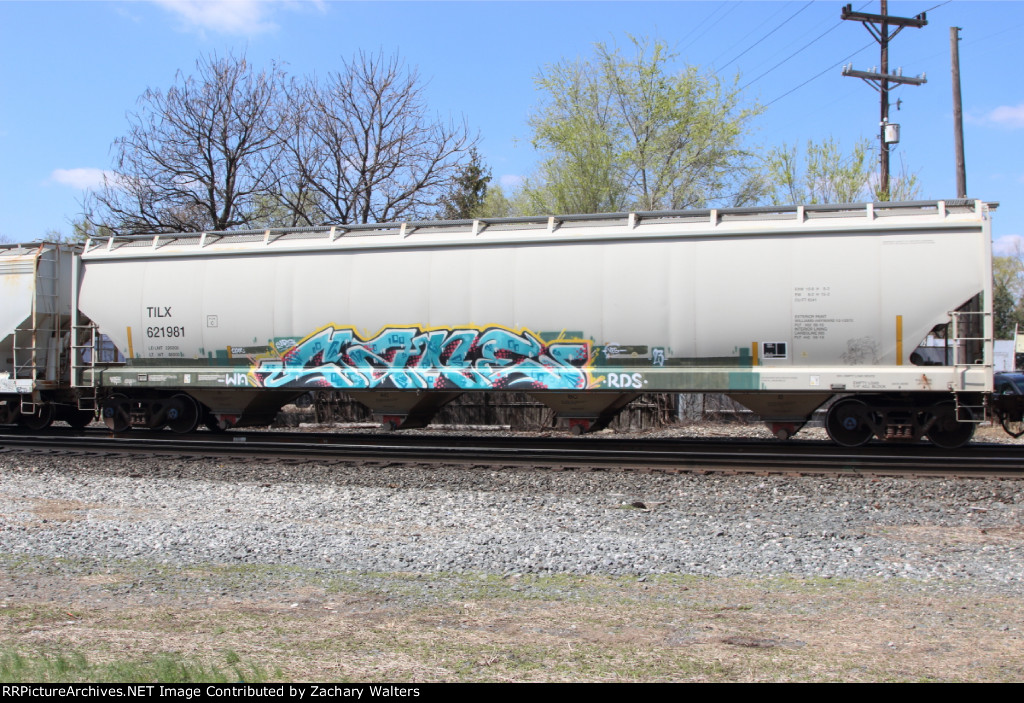 TILX 621981